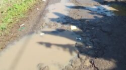 Dugaan Korupsi Capai Miliaran Rupiah, Kejaksaan Negeri Manggarai Diminta Panggil dan Periksa Kades Benteng Kuwu