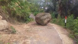 Batu Besar di Jalur Coal – Lewur Masih Mejeng di Badan Jalan