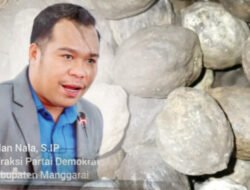 Aduh Telah Terjadi Monopsoni: Harga Kemiri di Manggarai Kok Bisa Anjlok Sehari, DPRD Desak Bagian Perekonomian Bertindak Kendalikan Harga