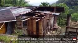 Rumah Ambruk Akibat Hujan Disertai Angin di Cibal Barat, Dewan Arlan Nala Minta Pemda Turun Tangan