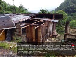 Rumah Ambruk Akibat Hujan Disertai Angin di Cibal Barat, Dewan Arlan Nala Minta Pemda Turun Tangan