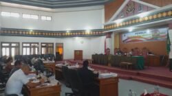 Dewan Klemens Malis Minta Semua Sumber Mata Air di Kabupaten Manggarai Dikelola oleh PAM TK Ruteng