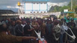 Kementan Bantu Hand Tractor untuk 35 Gapoktan termasuk 16 Unit Hand Sprayer di Kabupaten Manggarai, Pesan Penjabat Sekda: Alsintan Ini Harus Dijaga