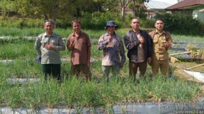 Dewan Lexy Armanjaya Sambangi Kelompok G’Farm Meler yang Bergerak di Budidaya Bawang Merah